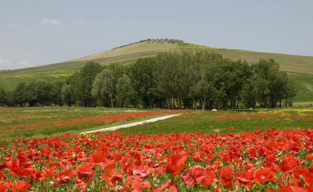 Agriturismo Lunadoro Монтичелло Экстерьер фото